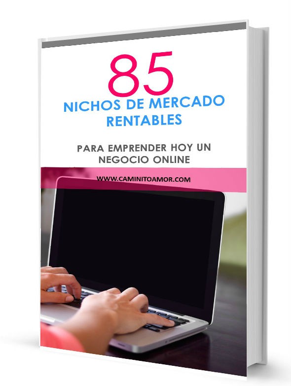 23 Ejemplos De Negocios Online En Nichos De Mercado - 