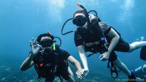 buceo en Koh Tao con Pura Vida 2