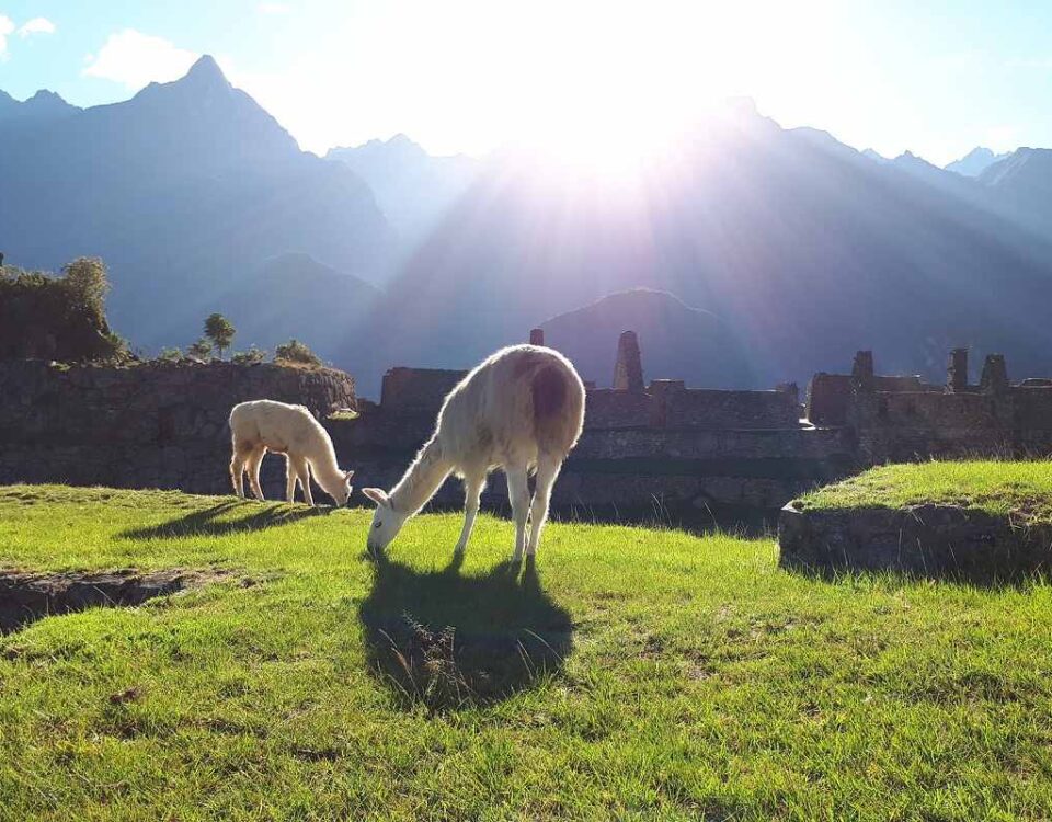 portada 1 que ver en Perú