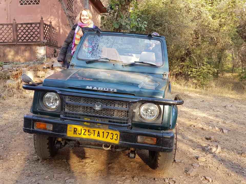 ver tigres en ranthambore portada
