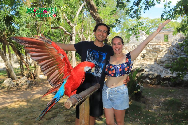 guacamayas en Xcaret