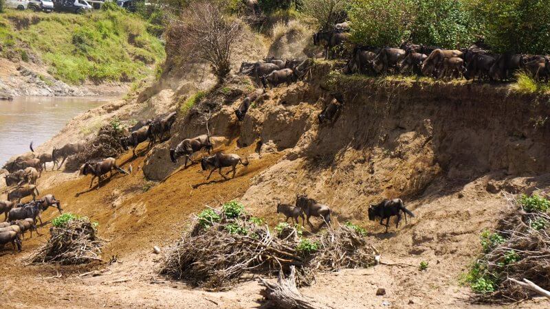 mejor época para hacer un safari en Kenia
