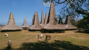 Guía de Sumba, Indonesia - lugares que ver