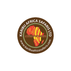 karibu logos home caminito amor