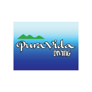 pura vida logos home caminito amor